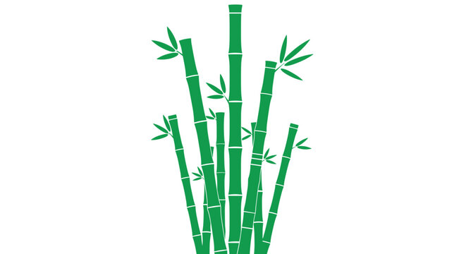 Bamboo Stems and Leaves Illustration.