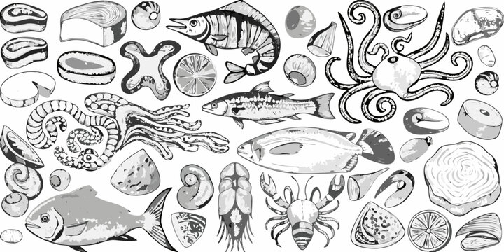 A diverse collection of hand drawn seafood and marine life illustrations