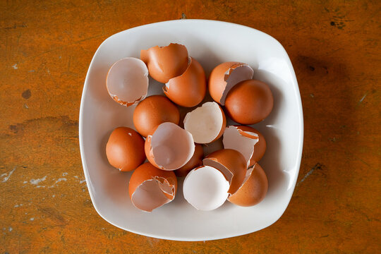 Eggshells are ready to be used as organic plant fertilizer