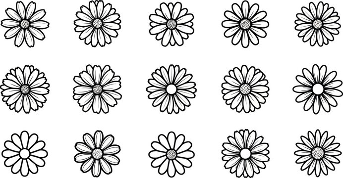Black and white daisy flowers pattern