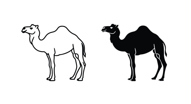 Dromedary camel animal silhouette icons - Editable line icons. Vector illustration - Glyph and solid icon set - Icon vector