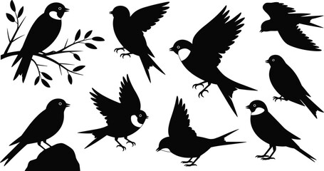 Fototapeta premium Bird silhouettes collection with flying and perched birds on branches, wildlife nature set isolated on white background for design and decoration