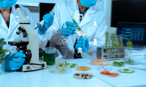 Team microbiologist Looking at a Healthy Green Plant in a Sample Flask.