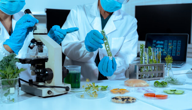 Team microbiologist Looking at a Healthy Green Plant in a Sample Flask.