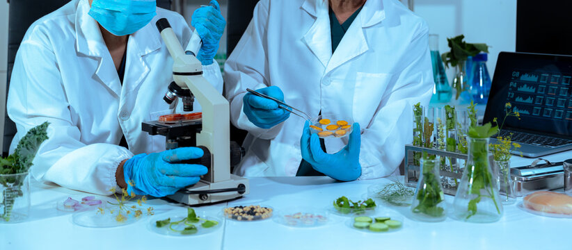 Team microbiologist Looking at a Healthy Green Plant in a Sample Flask.