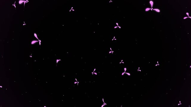Small pink flower seeds falling through dark space with tiny particles and subtle glowing effects for whimsical nature background loops