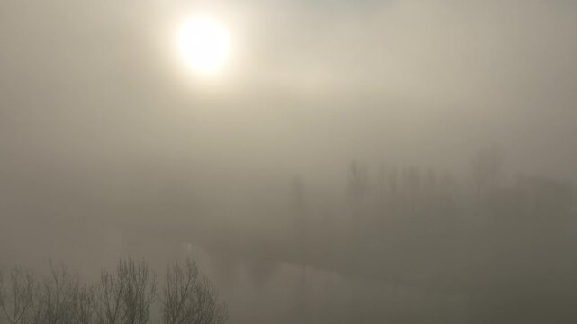 Aerial view of thick morning fog in Correze with bright sun glowing through mist and silhouetted bare trees in the foreground