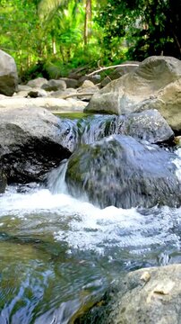 Tranquil Forest Waterfall Flowing Over Rocks With Soft Sunlight and Lush Greenery, peaceful nature vertical background. Flowing Mountain Stream Over Rocks Through Tropical Forest With Lush Green Folia