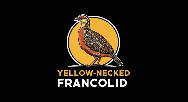 Vibrant illustration of a yellow-necked francolin bird on a black background