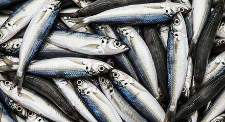 Obraz premium Pile of fresh sardine fish caught for seafood market