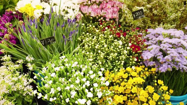 Vibrant Floral Display at an Outdoor Flower Market in Osaka Japan