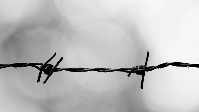 A close-up, dramatic, black and white shot of a barbwire, against a blurred backdrop