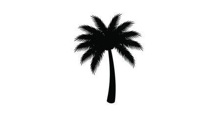 Fototapeta premium Silhouette of a palm tree against a stark white background