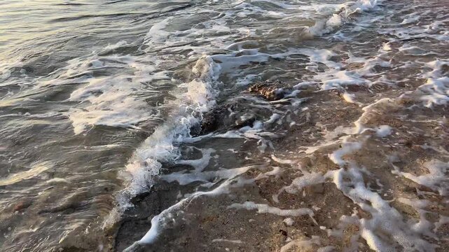 Morze czerwone, Egipt ت غالب, 