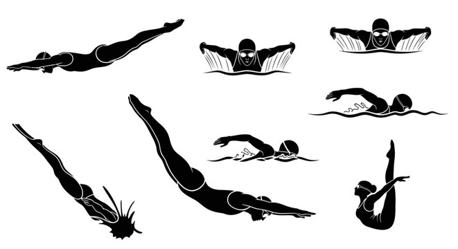 Swimmers in various diving positions.