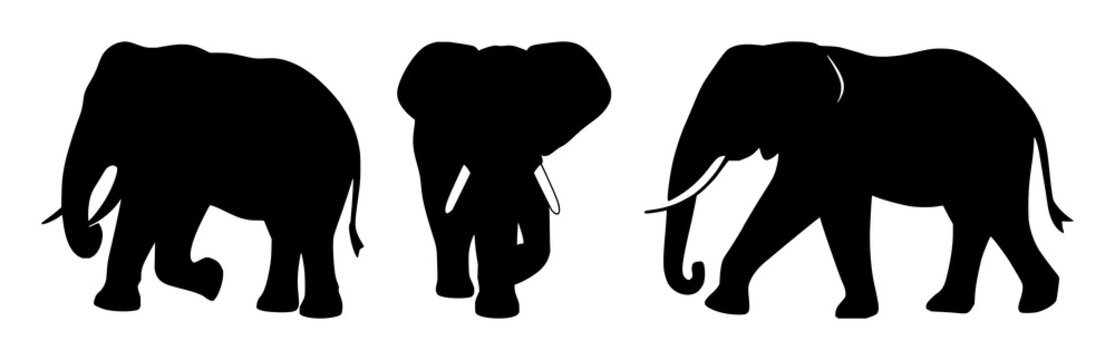 Elephant icon set with black silhouette on white backdrop featuring wildlife conservation, endangered species, iconography with high contrast and minimalist design