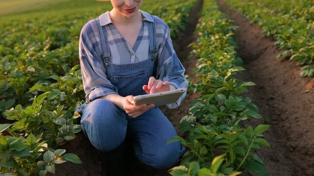 A farmer wearing overalls and a plaid shirt kneels in a field of crops, examining plants while holding a tablet computer