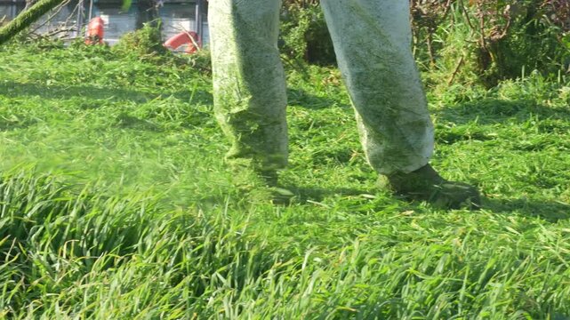 Professional Gardener Trimming Lush Green Grass with a String Trimmer - Commercial Lawn Care and Garden Maintenance - 4K. High quality 4k footage