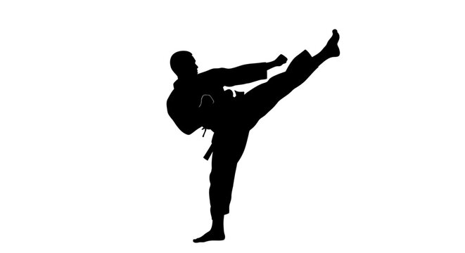 Man doing a high kick move.