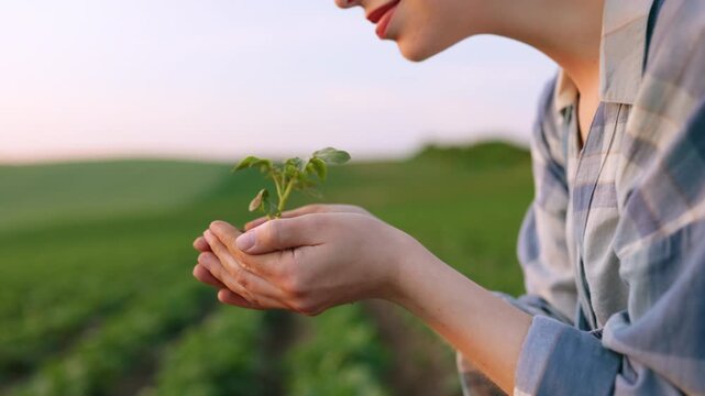 A young woman gently holds a small green seedling in her cupped hands, smelling its fresh scent in a field at sunset