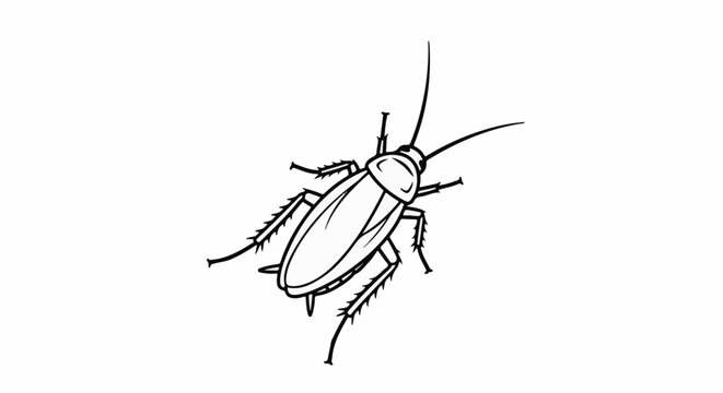 Stylized black and white line drawing of a cockroach on a white background