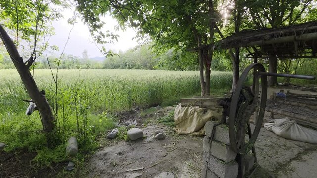 Beautiful village in Punjab, Pakistan.   