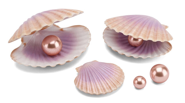 Elegant composition of large pink pearls and opened seashells, featuring a delicate scallop shell.
