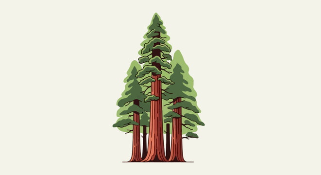 Stylized illustration of towering coniferous trees with reddish-brown trunks and green foliage
