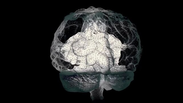 White Human Brain Hologram Rotating on Black Background Science Anatomy Concept