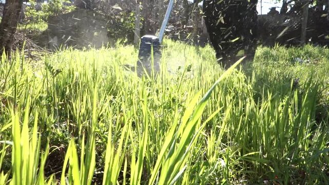 Low Angle Close-Up of String Trimmer Cutting Tall Green Grass with Flying Clippings. Lawn Care, Gardening, and Yard Maintenance Concept