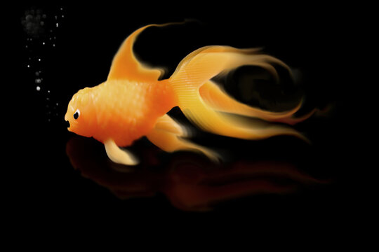 Toy goldfish swimming on a black background