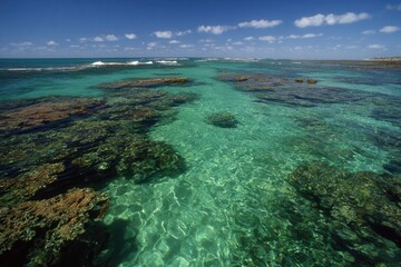 Obraz premium Tropical clear turquoise colored water with a growing coral reef and distant ocean view
