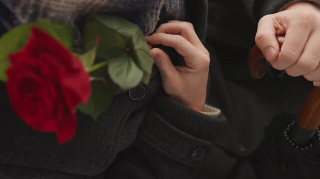 Intimate floral gesture. Romantic moment with flower. Vivid red blossom pressed softly against woolen fabric. An affectionate display where crimson rose is gently tucked into coat lapel