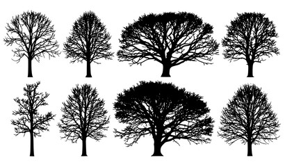 Obraz premium Winter tree silhouettes vector art bare forest branch collection
