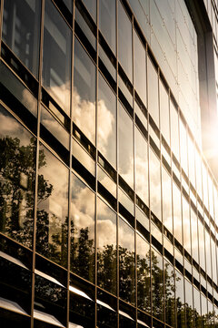 Golden glass facade architecture in exterior view with modern windows reflection and a symmetric pattern capturing warm light across a contemporary building