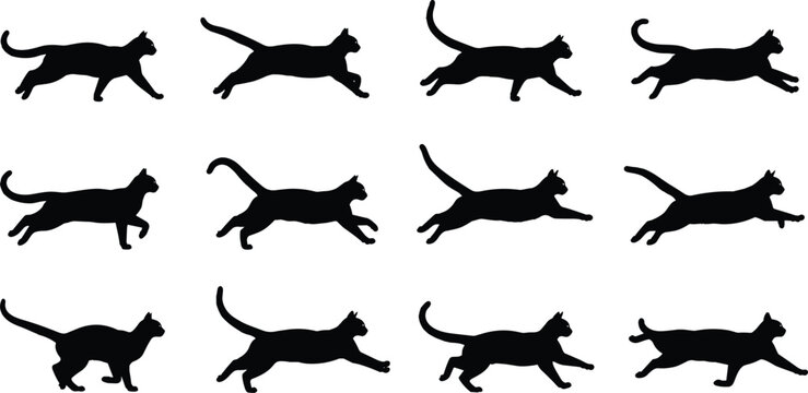 Black silhouette collection of cats in running and jumping poses isolated on white background for pet movement feline behavior and animal motion concepts.