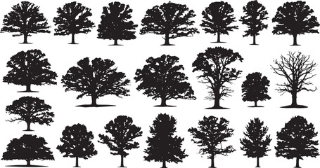 Fototapeta premium set of 30 diverse tree silhouettes flat design vector illustration