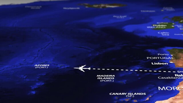 Flight From New Delhi INDIA to New York USA with flag pins