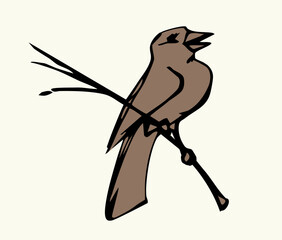 Obraz premium Vector drawing. Tit on white sky backdrop.