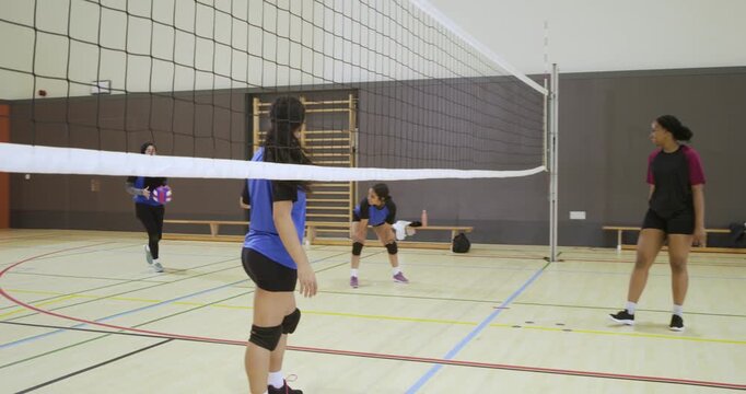 Two female teams playing in gym after blue player running to pass over net, celebrating point