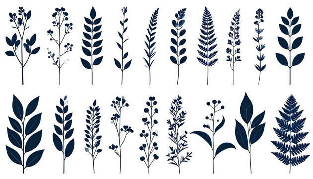Diverse assortment of stylized wheat and barley stalks with seeds