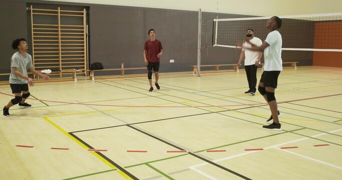 Diverse male teammates training, passing purple volleyball in gym while red shirt lobbing overhead