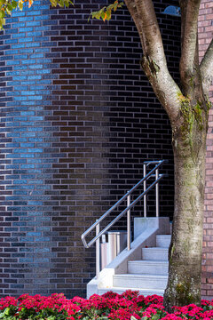 Daylight urban stairs with steps and railing beside tree flowers and garden in brick architecture creating calm access path for exterior scene