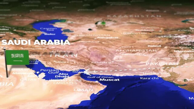 Flight From New Delhi INDIA to Riyadh SAUDI ARABIA with flag pins