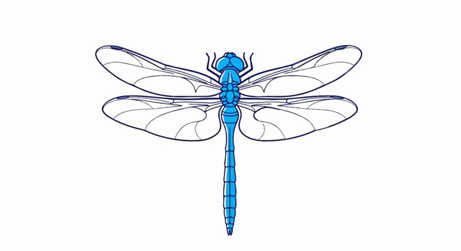 A stylized, minimalist illustration of a blue dragonfly with translucent wings
