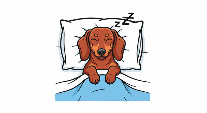 Cute cartoon dachshund sleeping peacefully on a pillow under a blue blanket