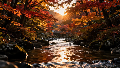 Naklejka premium a serene river flowing through vibrant autumn trees. Soft sunlight filters through the leaves, highlighting the colorful landscape and still water.