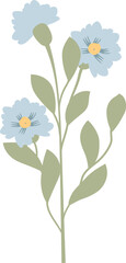 Fototapeta premium Wildflower Stem Blooming Botanical
