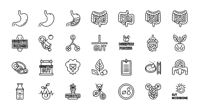Minimal digestion outline icon set with stomach, intestines, and gut health symbols