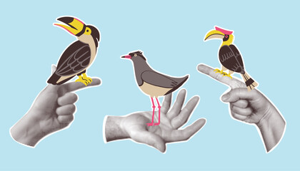 Three hands cut out of paper in dots holding cute colorful cartoon birds, toucan, hornbill and crowned lapwing. Contemporary art collage © Aliaksandra